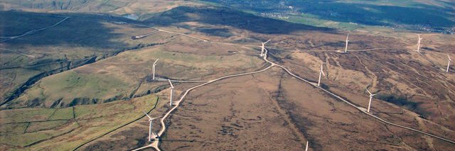 LAURA HOLT † 🌹 💜🤍💚 banner