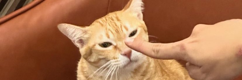 bondzyield's profile banner image