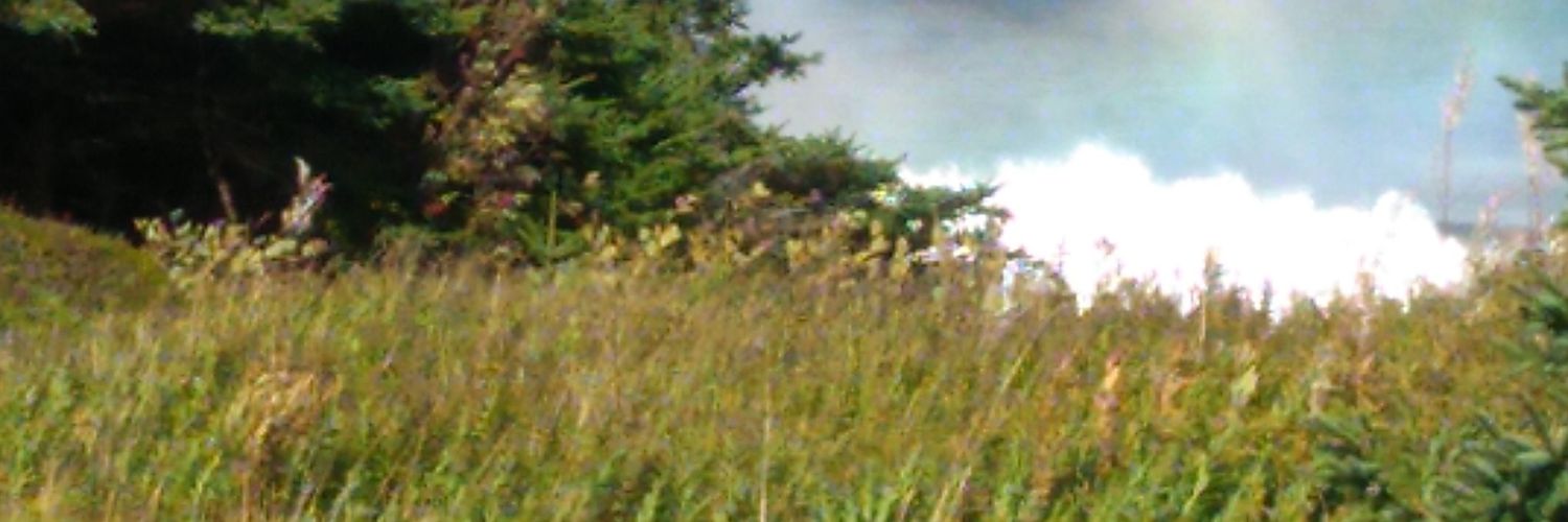 Grandy789's profile banner image