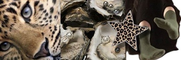 Sphinxgws Profile Banner
