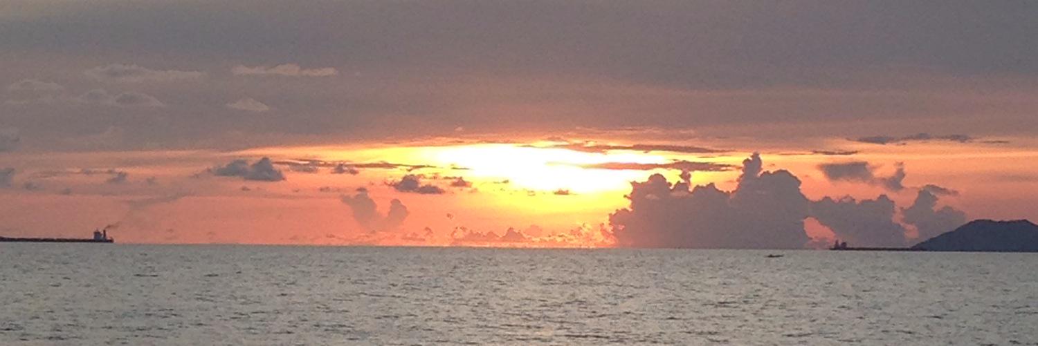 msnaths2's profile banner image