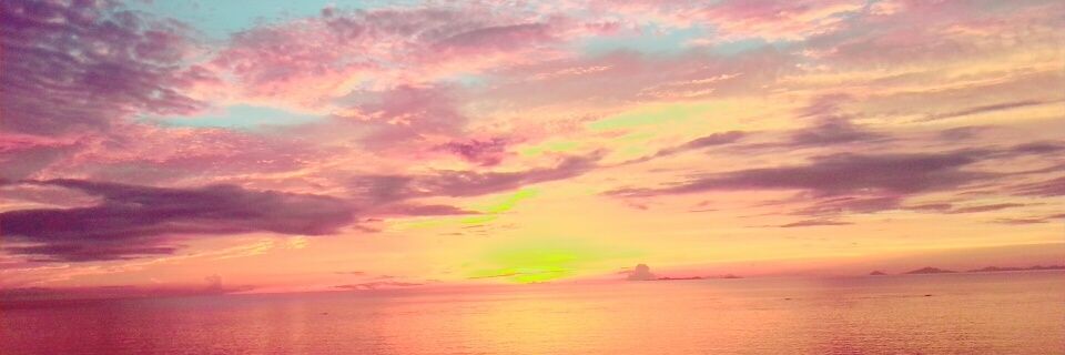 rd_syo's profile banner image