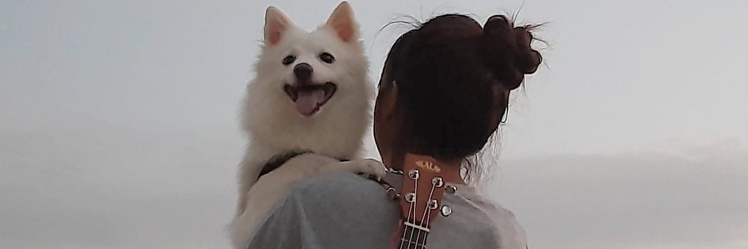 chan_odyuo's profile banner image