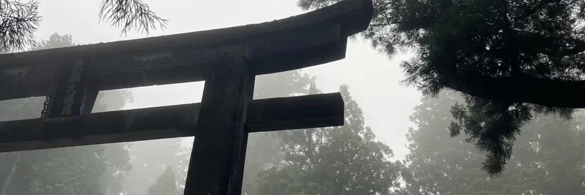 aizvee's profile banner image