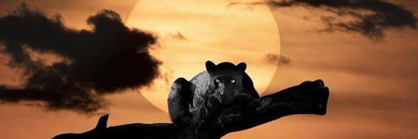 RuezW0rld Profile Banner