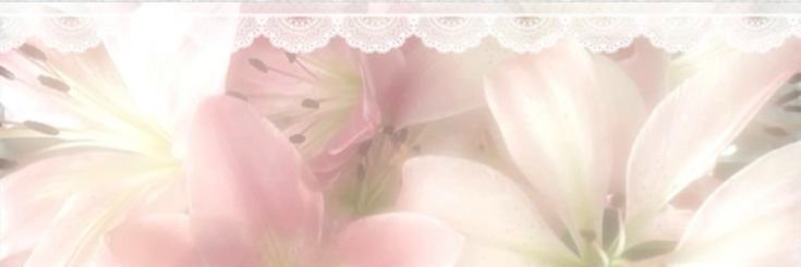 wedd1ngcake's profile banner image