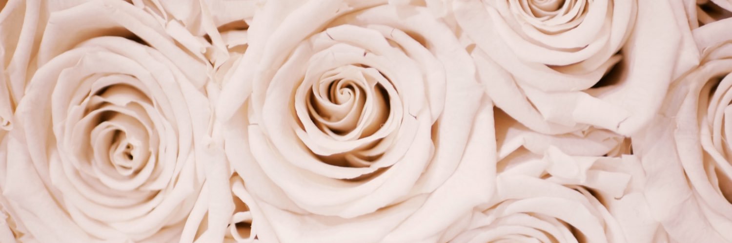 sherry_t23's profile banner image