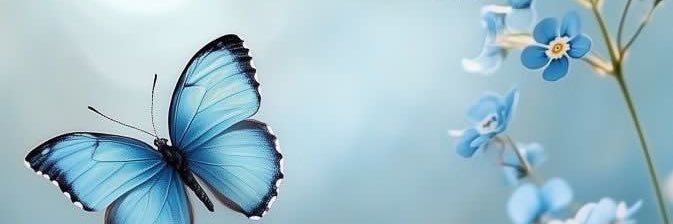 en6ini's profile banner image
