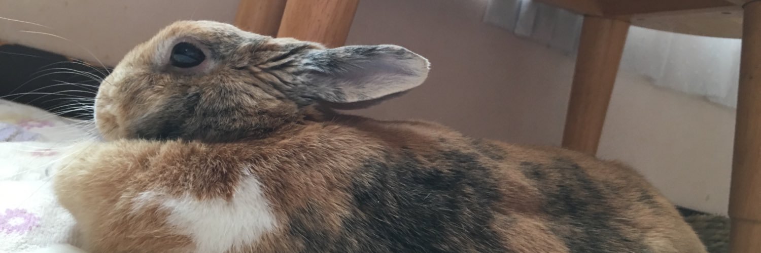 ohanasetu's profile banner image