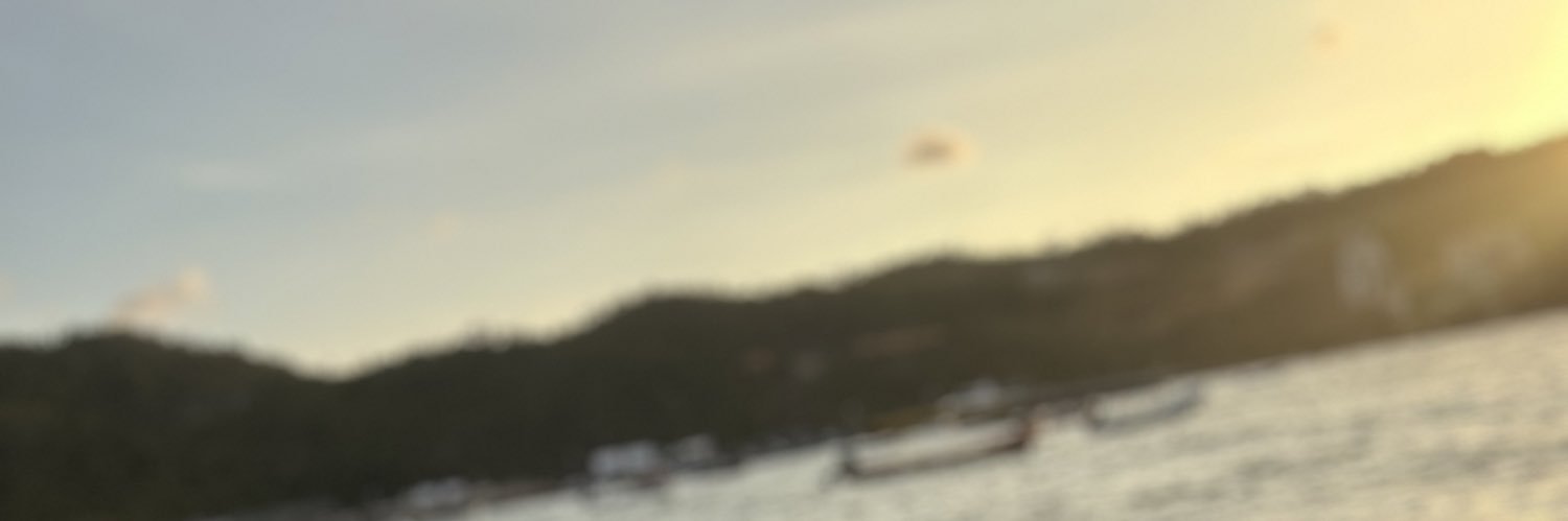 irvsanchez's profile banner image