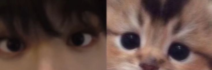 cuzinho do hɑnno 𖹭 banner