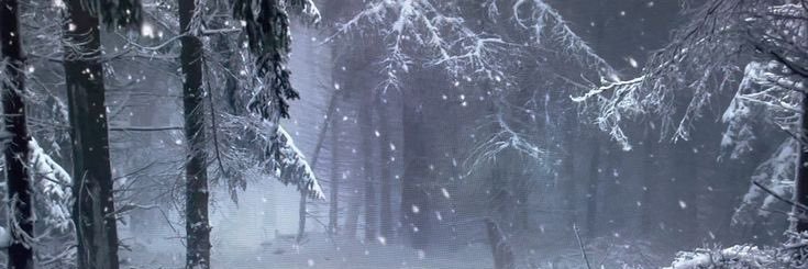 SOLUNE AN🍰 banner