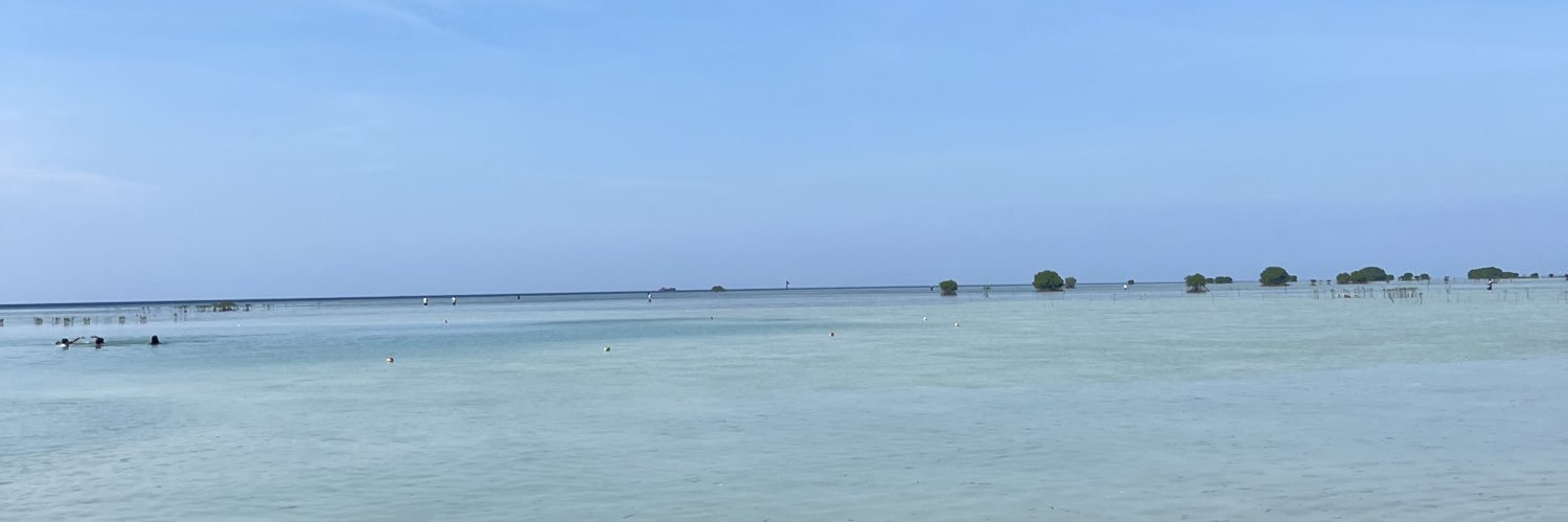 naditaksm's profile banner image