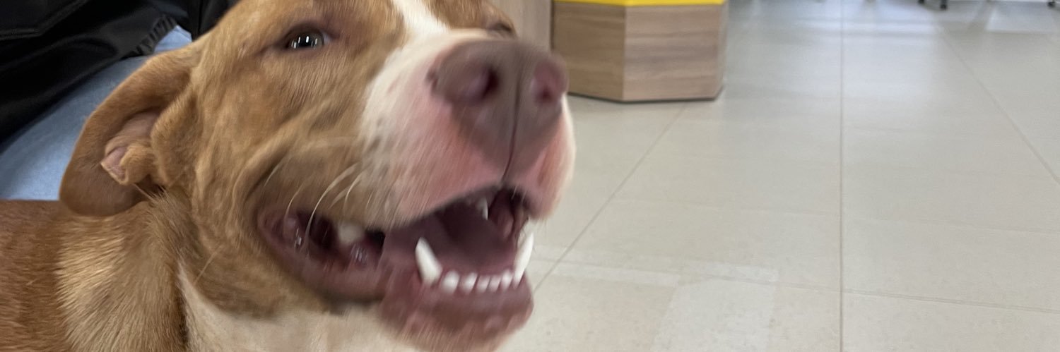 docedabobora's profile banner image