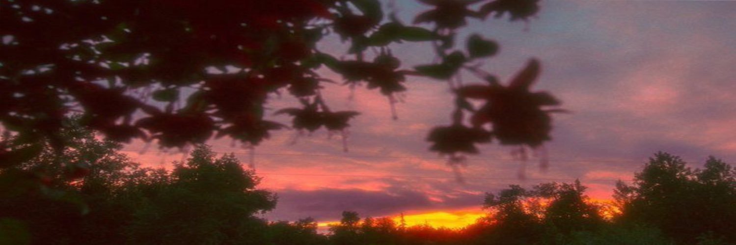 🕊️ Dove. | Ser Duncan the Tall's only banner