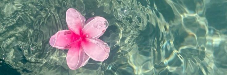 dira ୨ৎ 🌺 banner