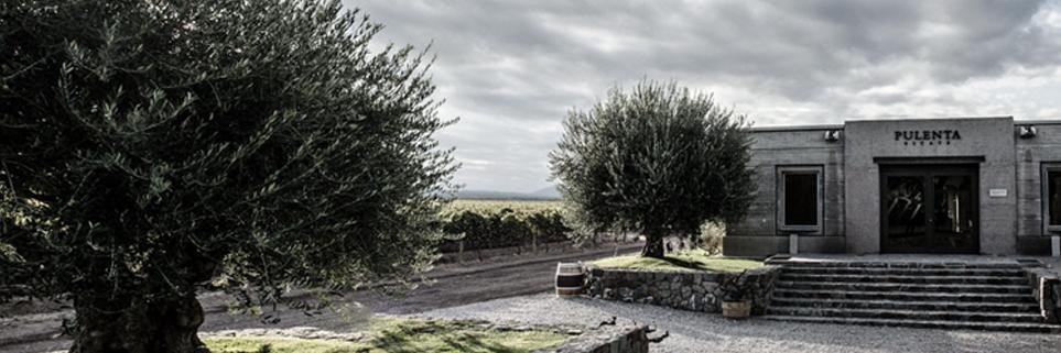 Bodega Pulenta Estate banner