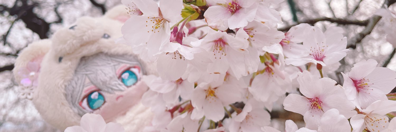 いつぬいずみ banner