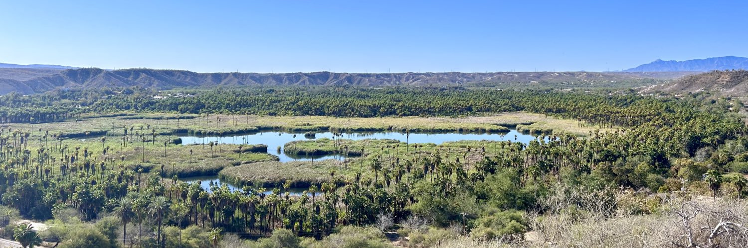 Rodrigo Esponda Cascajares banner