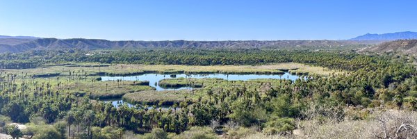 Responda Profile Banner