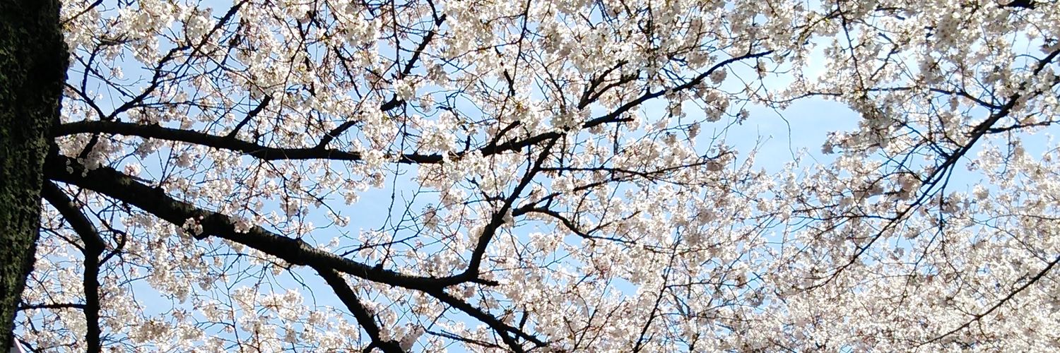 hakyu3's profile banner image