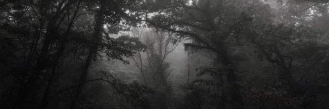• banner