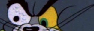 Cheetah banner