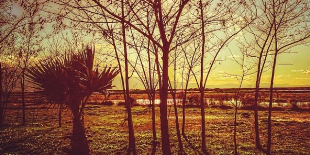 RT_3322's profile banner image