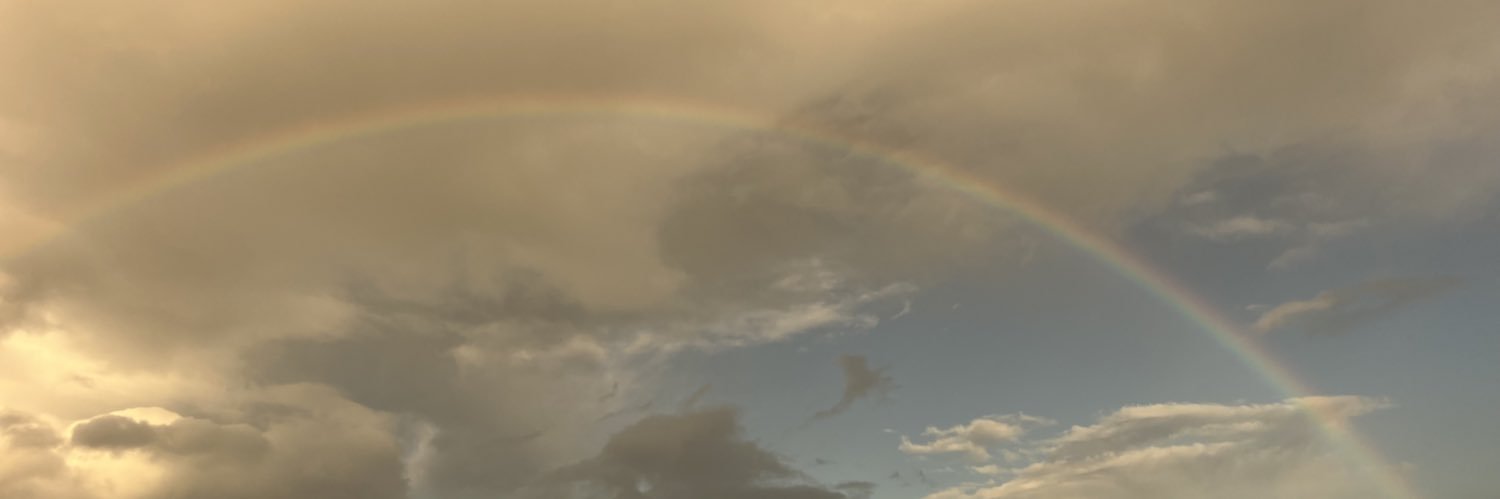 rainoratarot🌙⭐️✨💫 banner