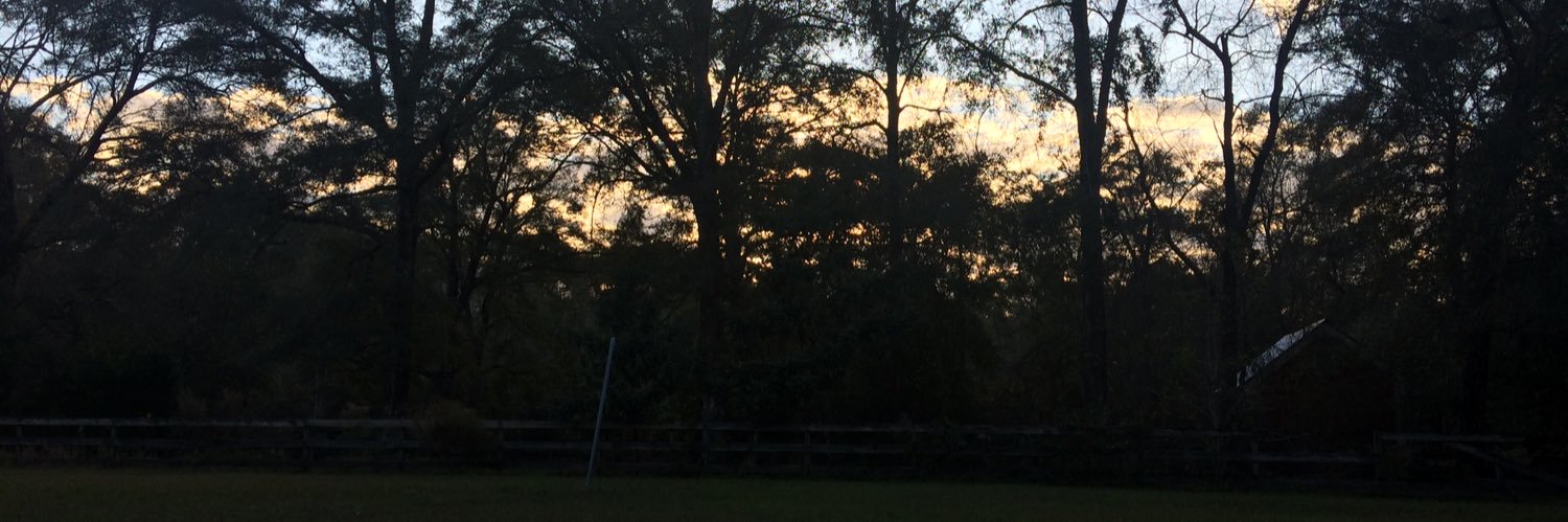 Searcher 🦇👌👅 banner