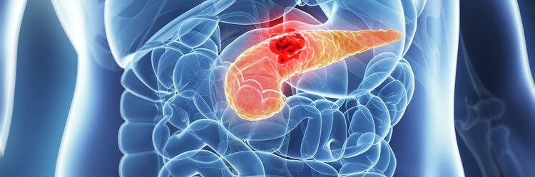 Ricardo Carvalho banner