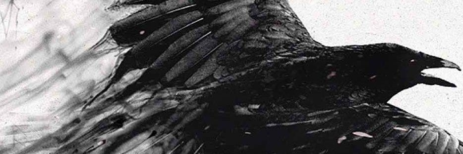 lagenwings's profile banner image