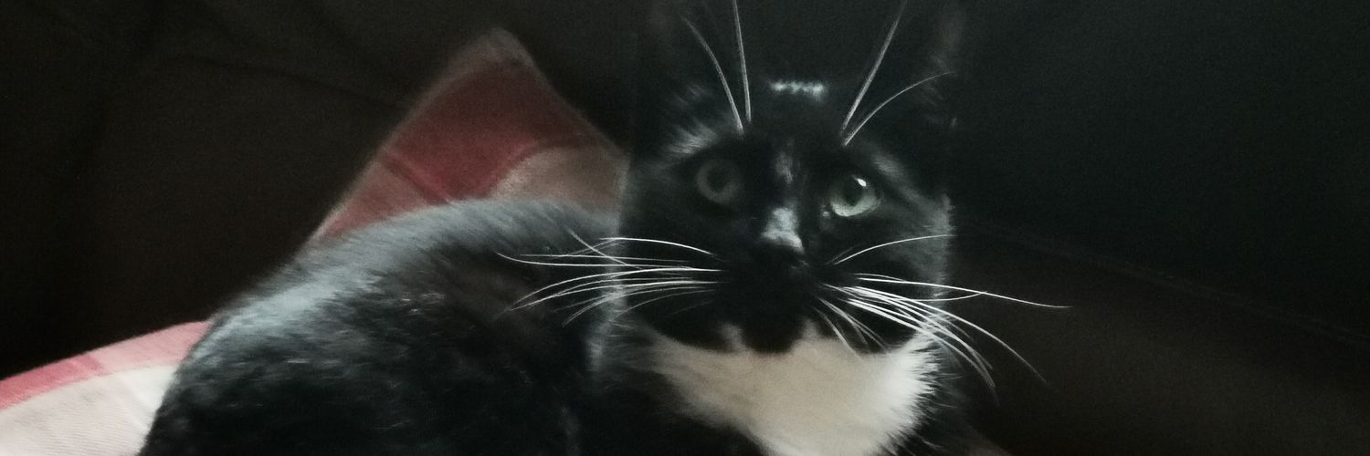 itsfyckinglumpy's profile banner image