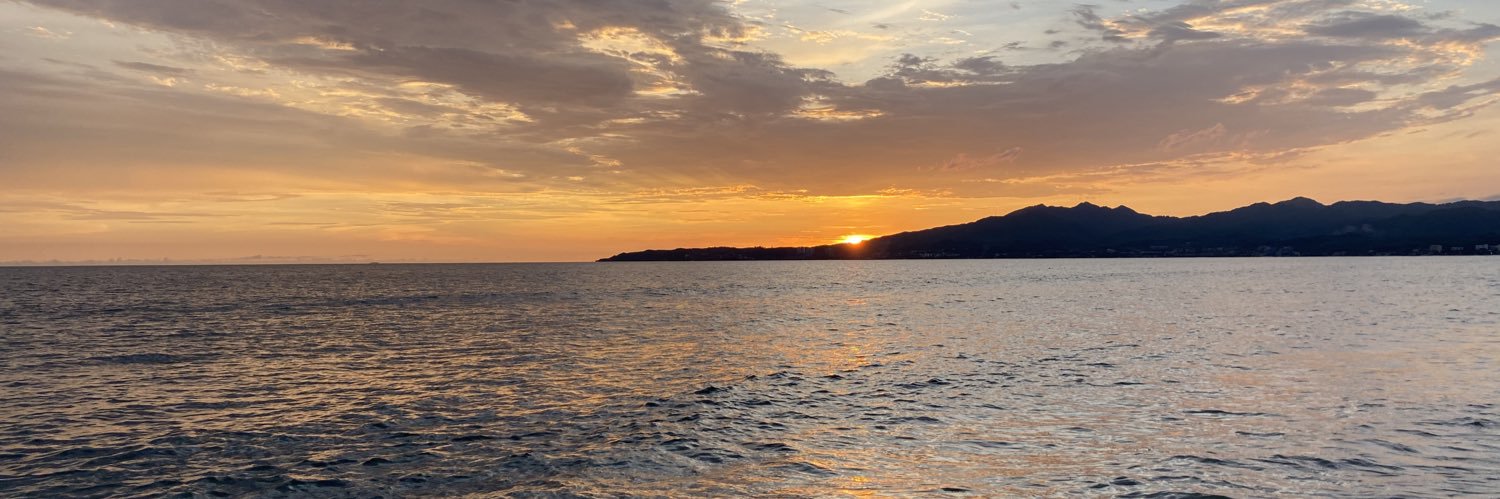 Richard Flaherty banner