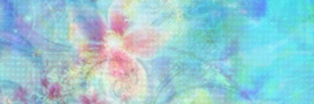 𝒷𝓊𝑔 🪲🪸 banner