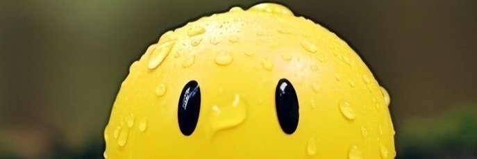 Honeycombs 🐝 banner