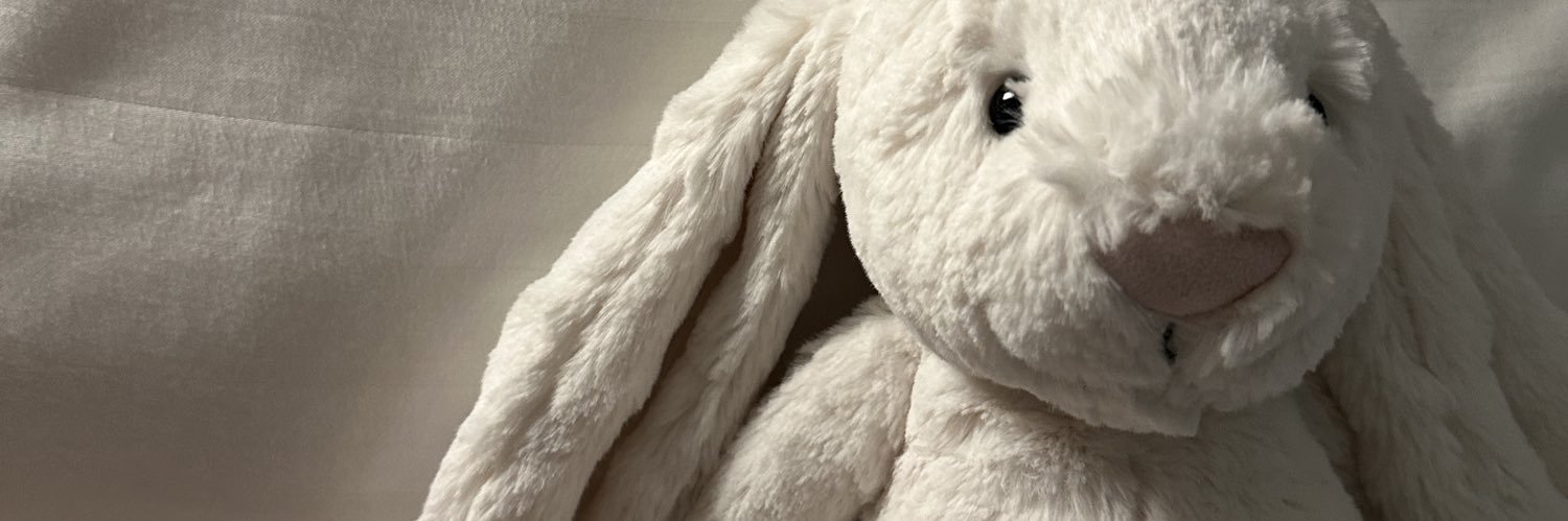 ༉‧₊˚.chel🐰 banner