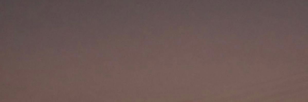 judy banner