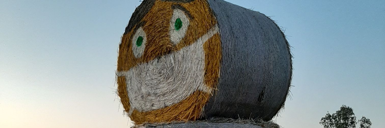 fernandomiche's profile banner image