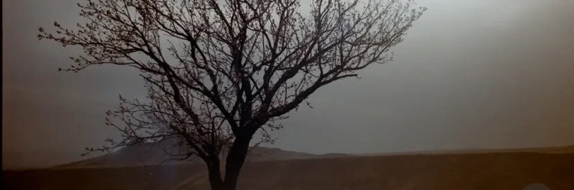 yrsjj1's profile banner image
