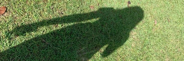 (⁠◕⁠દ⁠◕⁠) banner