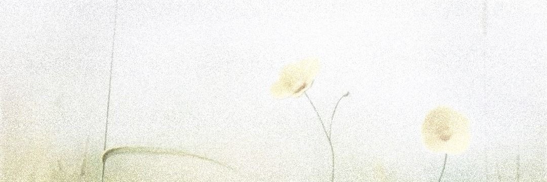 Akio . Ი︵𐑼's banner