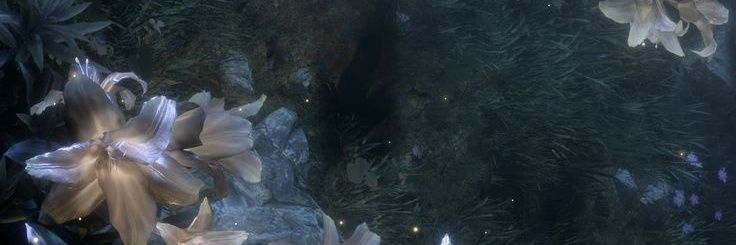 ♡ banner