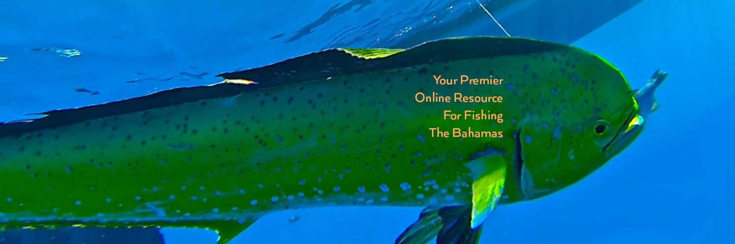 BahamasSportFishing banner