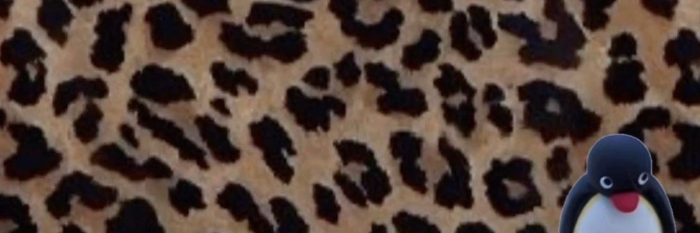 né. banner