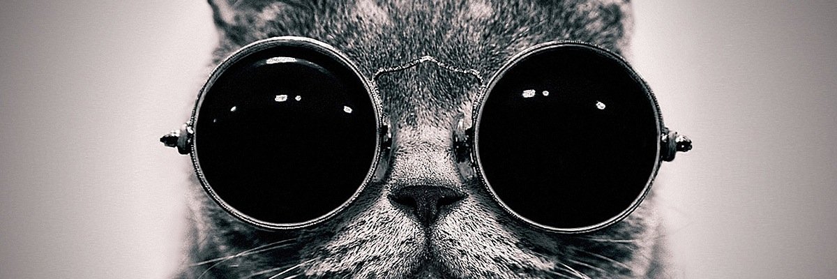 Pierre Seigne banner