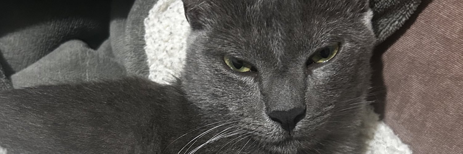 adrieliterra's profile banner image