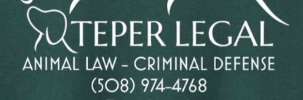 Adam E. Teper, Esq. banner