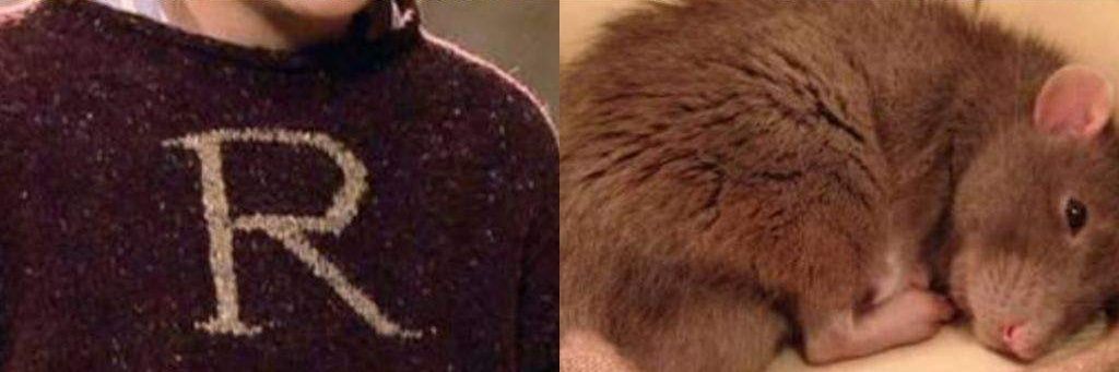 𝑹𝒐𝒏 𝑾𝒆𝒂𝒔𝒍𝒆𝒚 banner