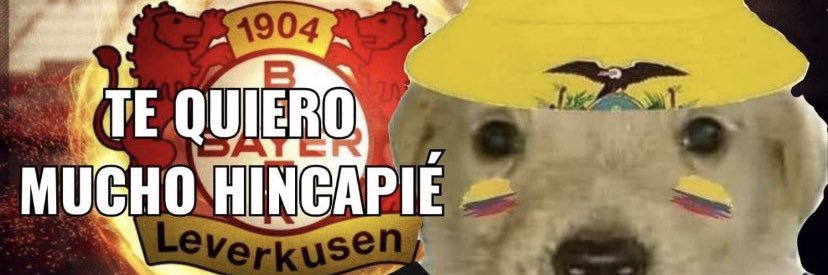 mariobosqu's profile banner image